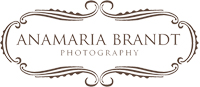 Ana Brandt Logo