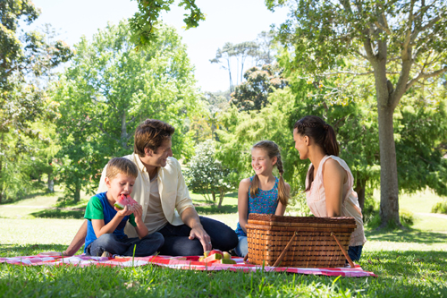 family having a picnic at the park