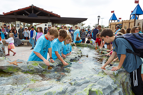 FREE Kids Fishing Derby - Mile Square Park in Fountain Valley! - LET'S PLAY  OC!