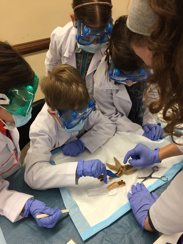 A group of kids direct a star fish with the guidance of an adult