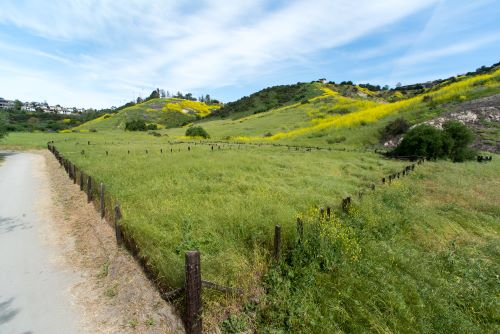 Wood Canyon Trail Summer Hike