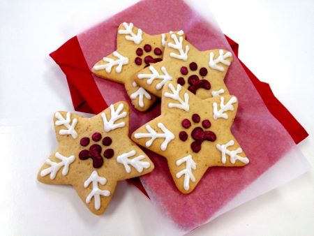 Gifts for Pets Jackboys Dog Bakery Festive Treats