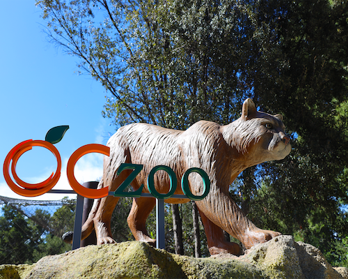 OC Zoo Big Cat Statue