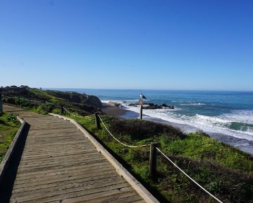 moonstone walk with gull