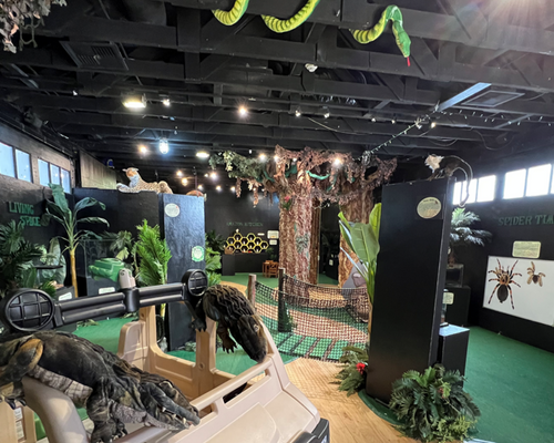 Children's Museum at La Habra's Rainforest Rangers Exhibit