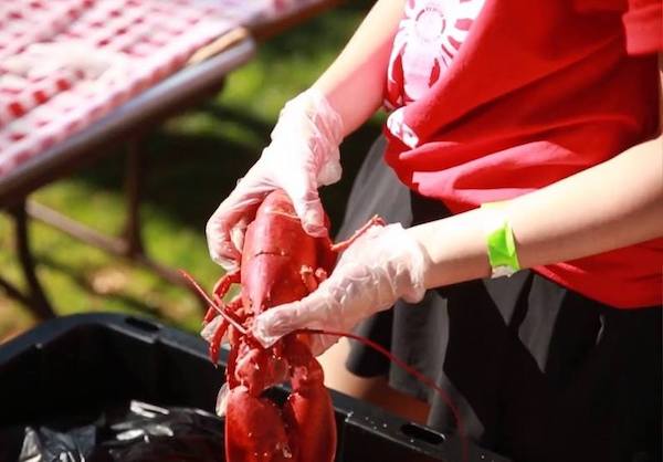 Tustin Lobsterfest 2023