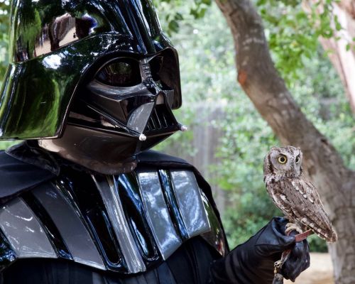 Star Wars Day at the OC Zoo