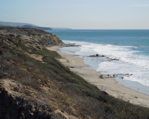 pelicanpoint at crystal cove state park