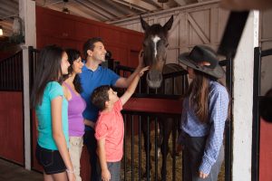 a horse trainer showing a family a horse