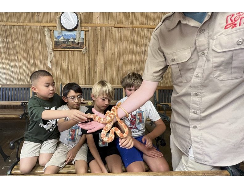 A trainer showing four kids a pet snake