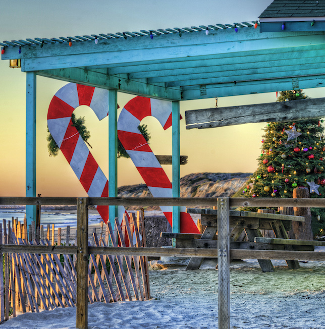 Crystal Cove Conservancy Tree Lighting