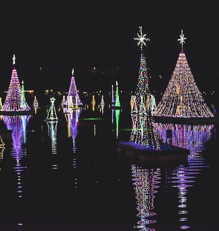 Fire & Ice Festival