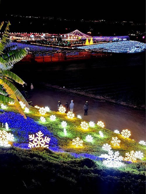 Hikari – A Festival Of Lights