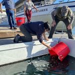 Hatch and Release: White Sea Bass Program Tour