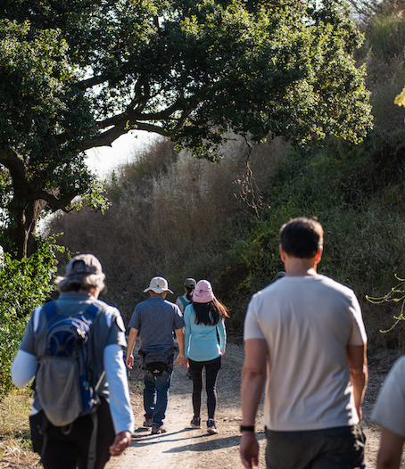 Family Hikes