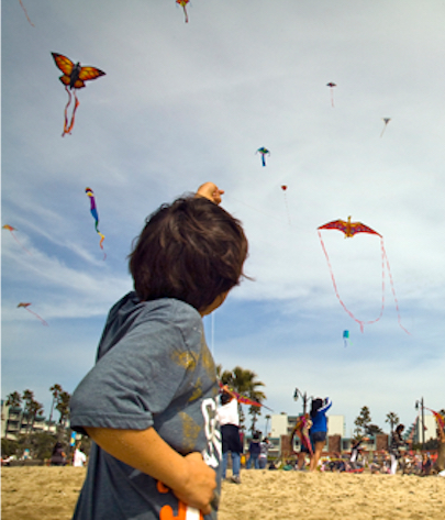 Festival of the Kite