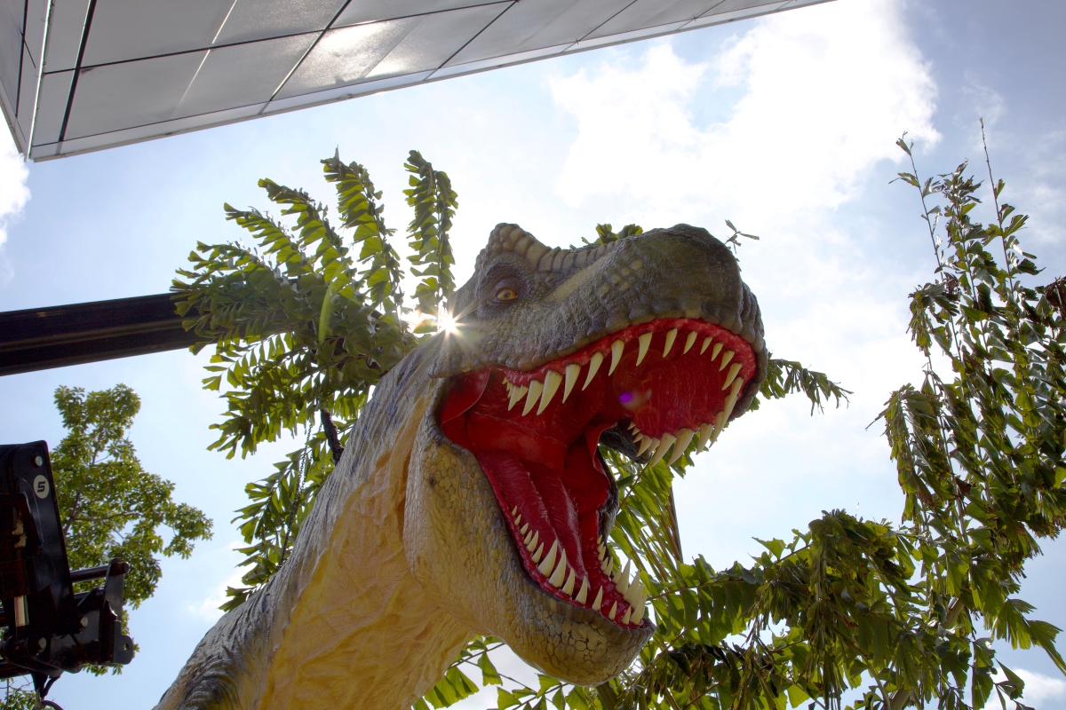“Dino Quest” Exhibition Reopening