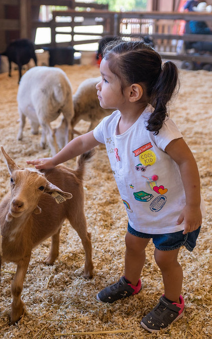 LA County Fair